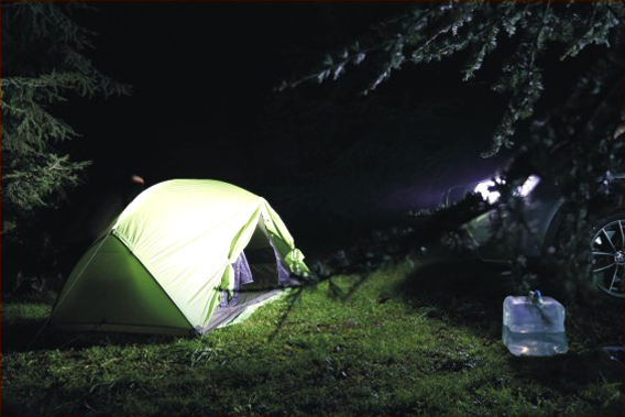 野营草地，正好把帐篷扎在两棵松树之间