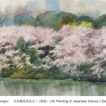 日本樱花写生之一 LIfe Painting of Japanese Sakura 1   1991