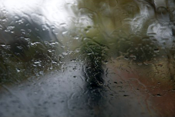 大雨来临，噼里啪啦打在车窗玻璃上，模模糊糊看到萨子背着一棵树走在前面。一步一步、艰难的前行！