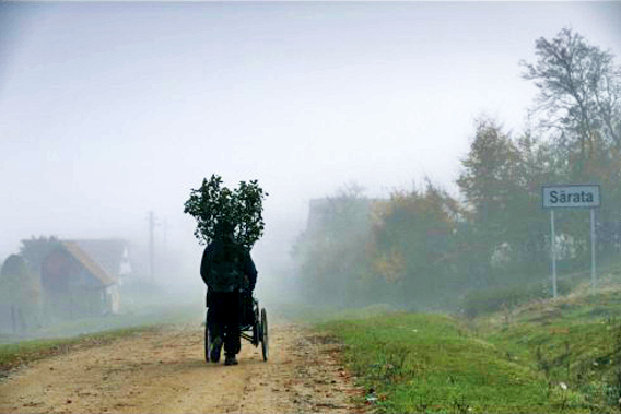恐惧紧紧抓着我，清晨雾很大，我希望隔着雾偷偷能逃过吉普赛村庄……