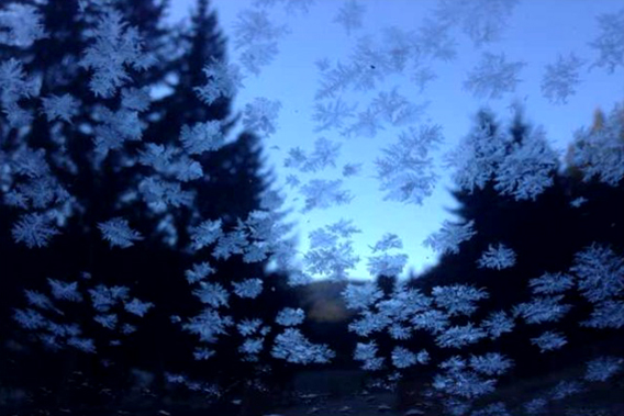 一觉睡到大天亮，只见车窗上全是冰茬，已经完全挡住了视线。